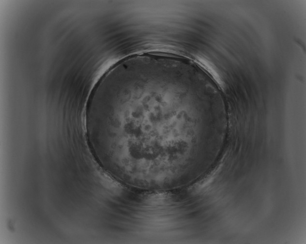 X0000093170891200709261526