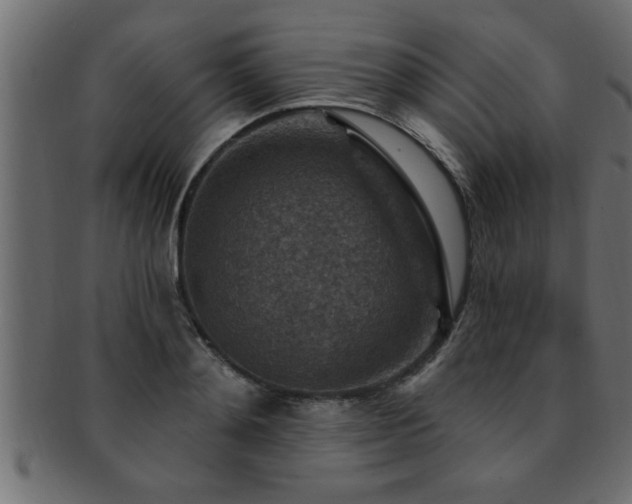 X0000093170892200709261526
