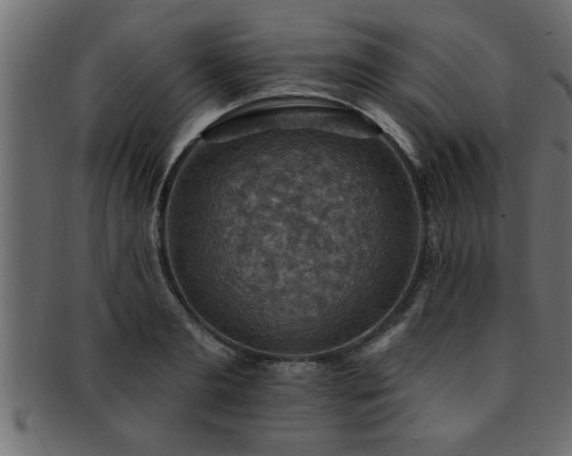 X0000093170893200709261526