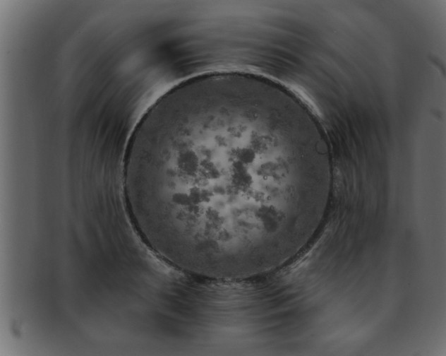 X0000093170895200709261526