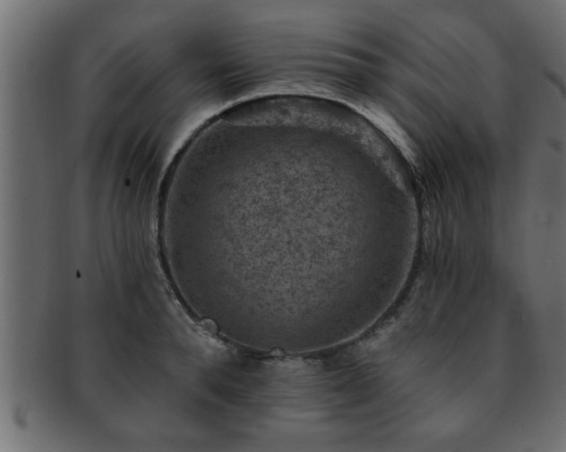 X0000093170896200709261526