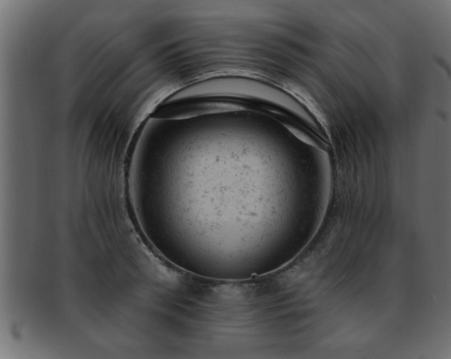 X0000093170898200709261525