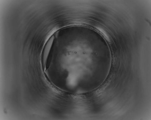 X0000093170899200709261525