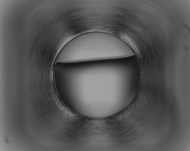 X0000093170900200709261525