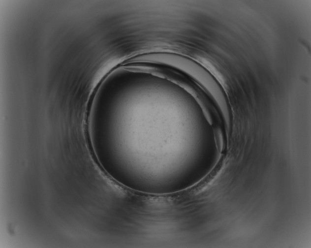 X0000093170901200709261525