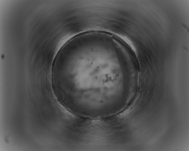 X0000093170903200709261525