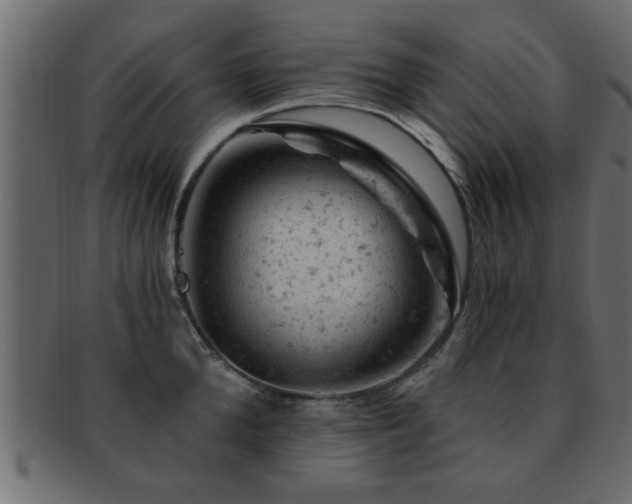 X0000093170904200709261525