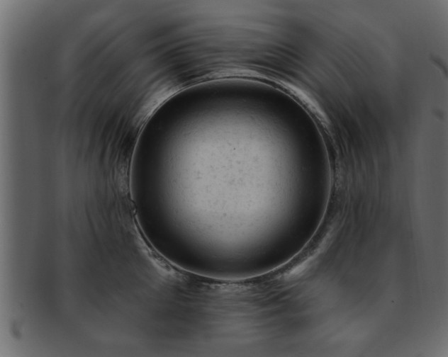 X0000093170905200709261525