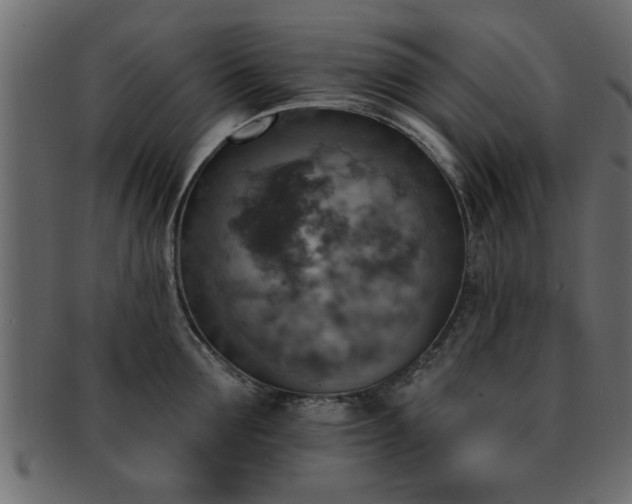 X0000093170907200709261525