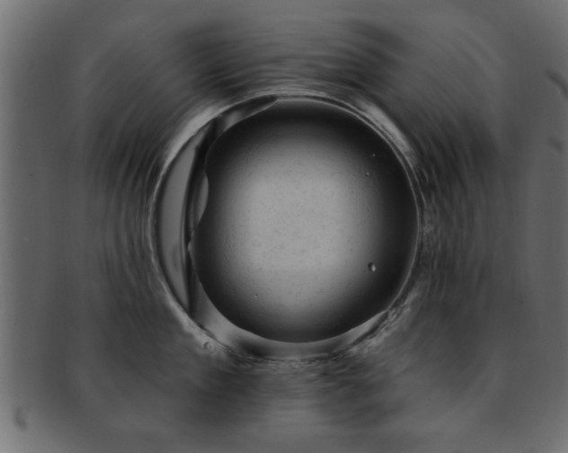 X0000093170909200709261525