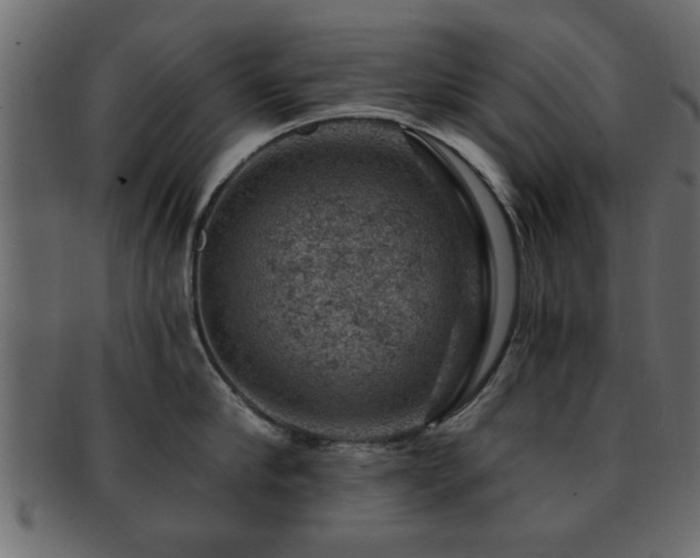 X0000093170910200709261525