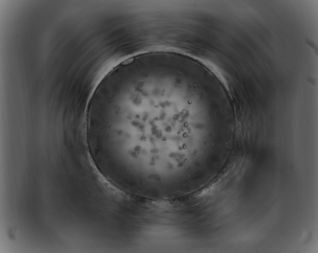 X0000093170911200709261525