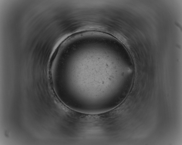 X0000093170912200709261525