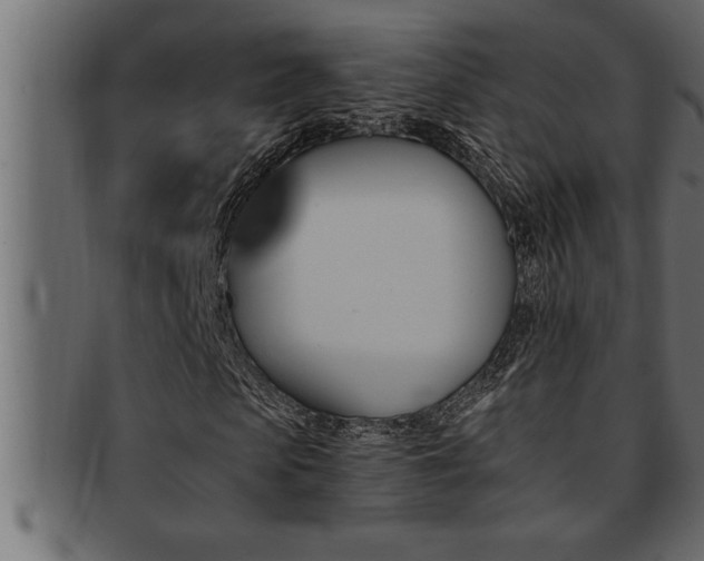 X0000093170913200709261525