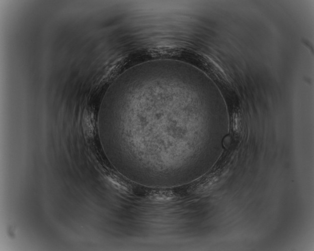 X0000093170915200709261525
