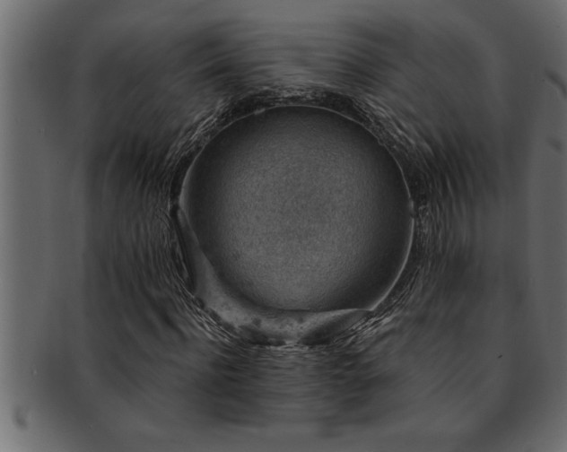 X0000093170916200709261525