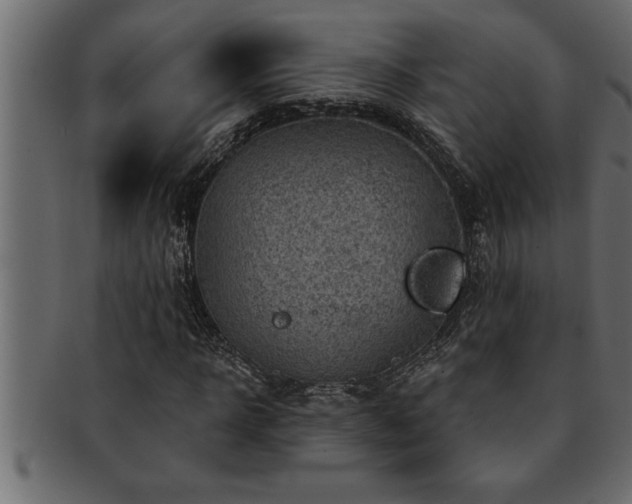 X0000093170918200709261525