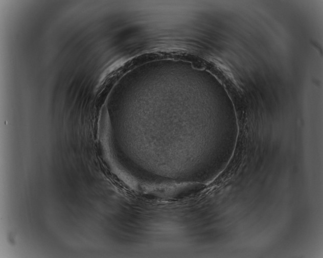 X0000093170920200709261525