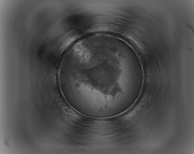 X0000093170921200709261525