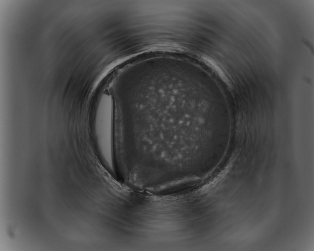 X0000093170923200709261525