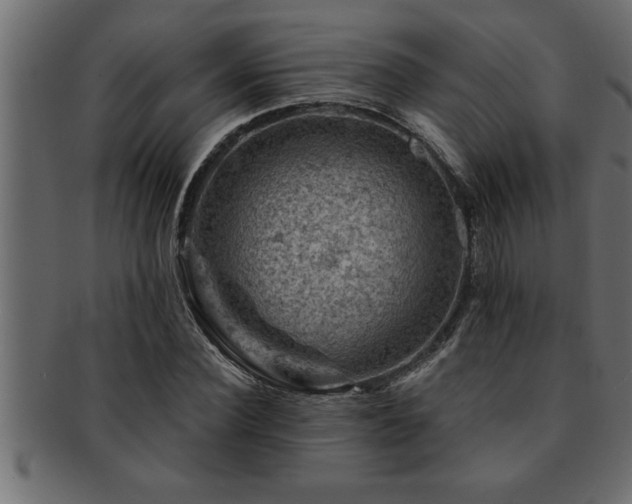 X0000093170924200709261525
