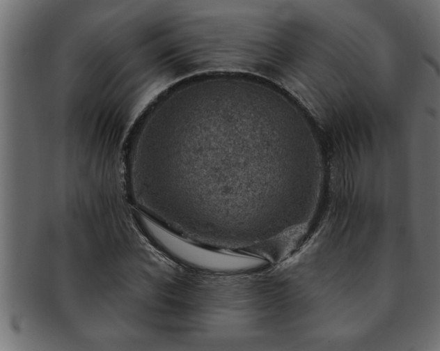 X0000093170926200709261525