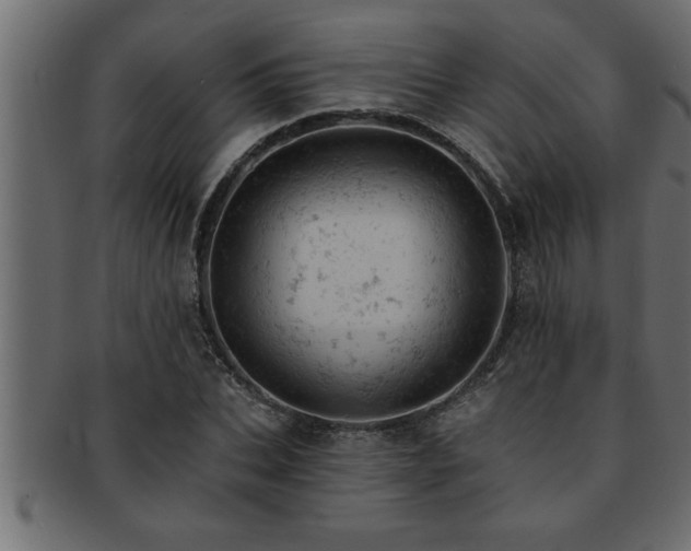 X0000093170927200709261525