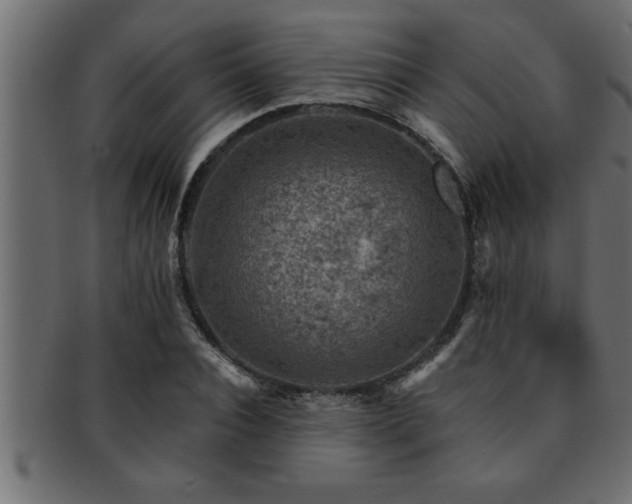X0000093170928200709261525
