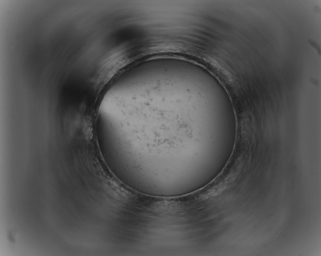 X0000093170929200709261525