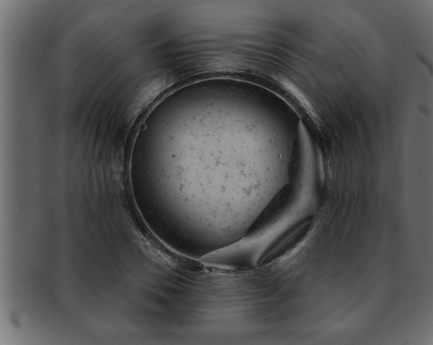 X0000093170930200709261525