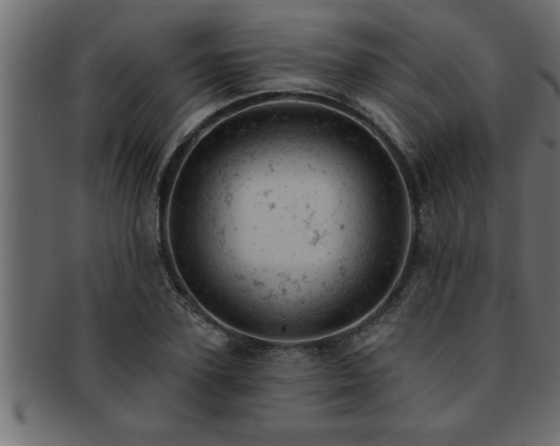 X0000093170931200709261525