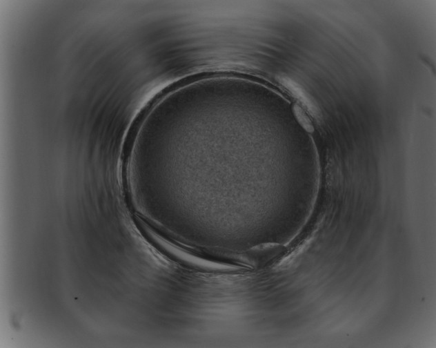 X0000093170932200709261525