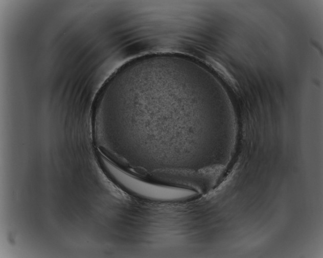 X0000093170934200709261525