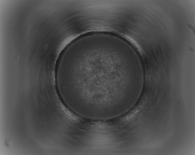 X0000093170935200709261525