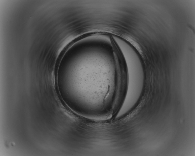 X0000093170936200709261525