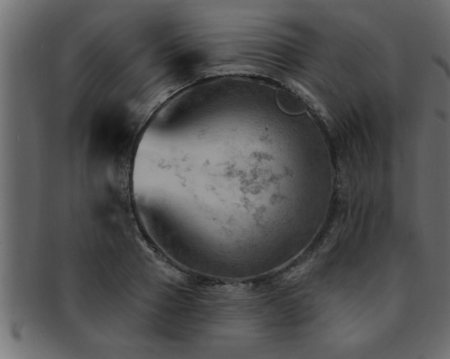 X0000093170937200709261525
