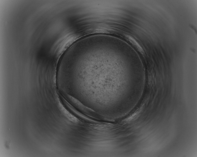 X0000093170938200709261525
