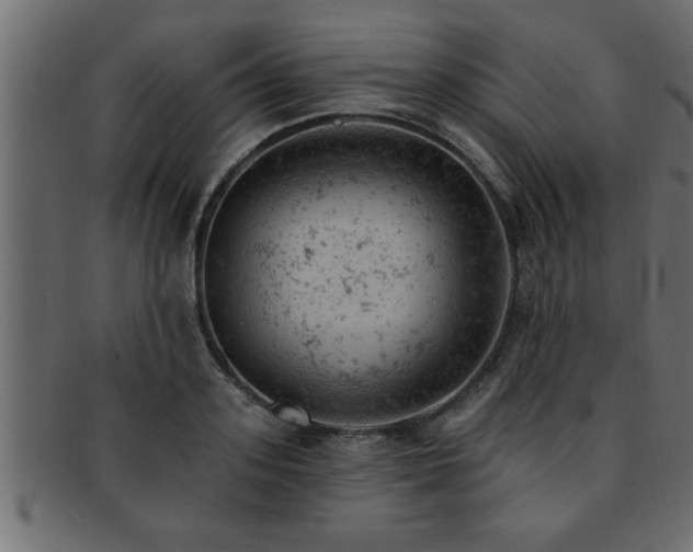X0000093170939200709261525