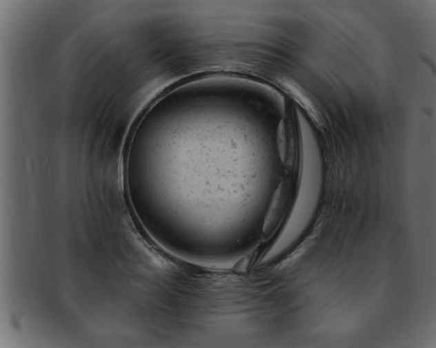 X0000093170940200709261525