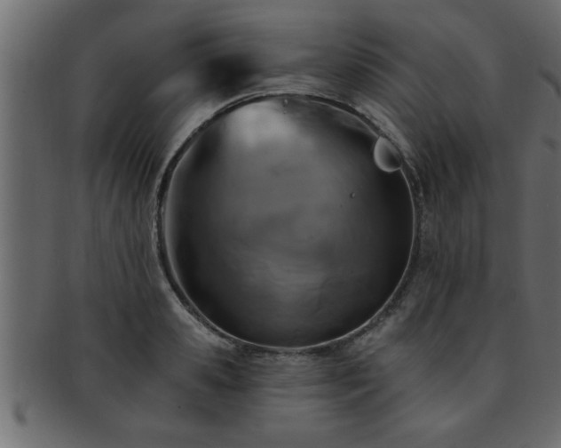 X0000093170941200709261525