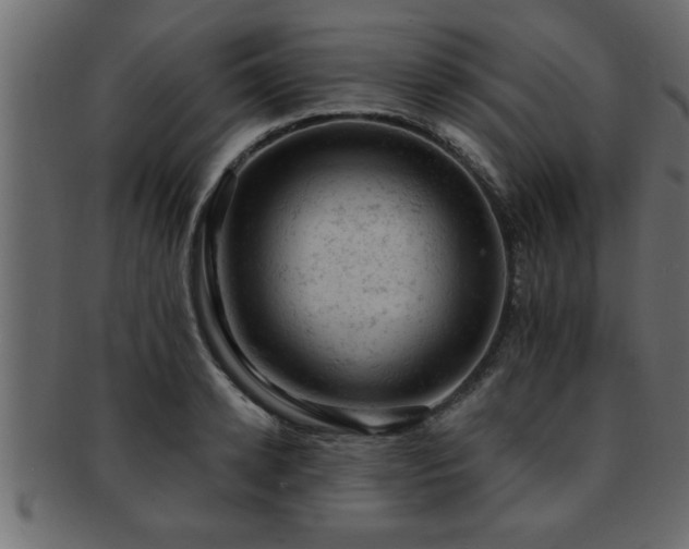 X0000093170942200709261525