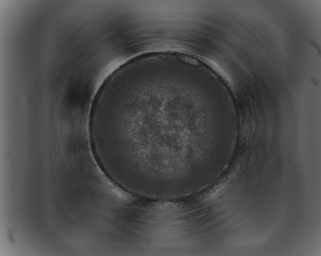 X0000093170943200709261525