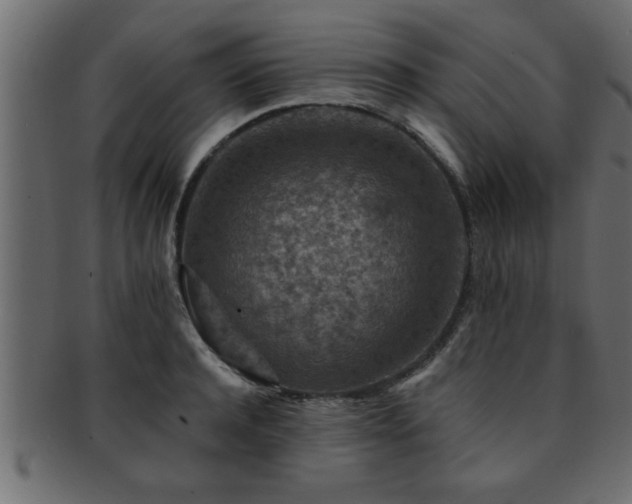 X0000093170944200709261525