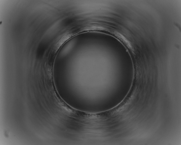 X0000093170945200709261525