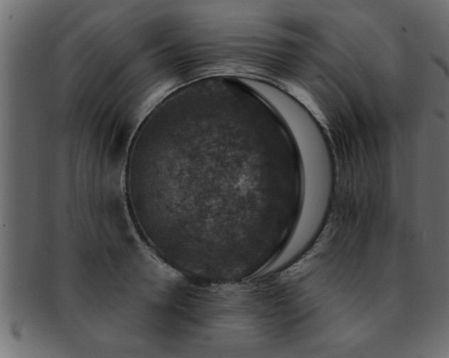 X0000093170946200709261525