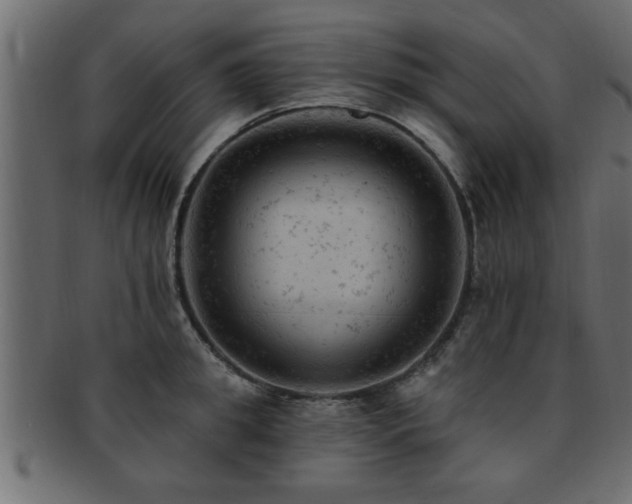 X0000093170949200709261525