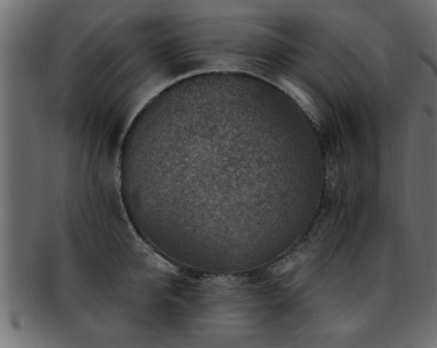 X0000093170950200709261525