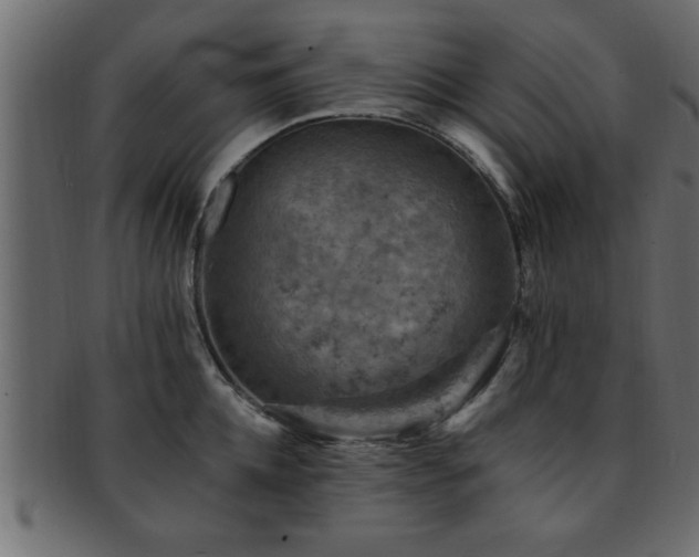X0000093170952200709261525