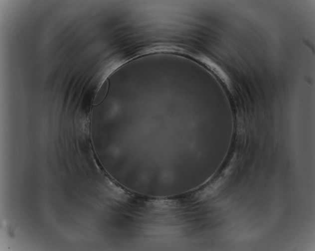X0000093170953200709261525