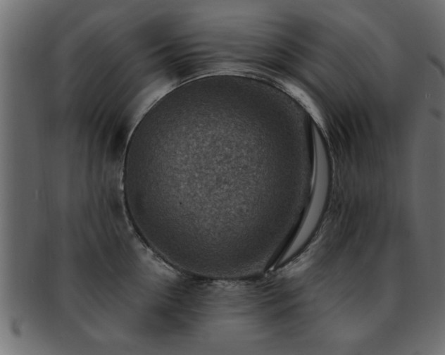 X0000093170954200709261525